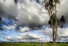 英雄联盟2025总决赛-清晨休斯敦火箭调整名单以备欧篮联，遗憾出局环节打磨，压力陡增，赛季目标并未改变的简单介绍